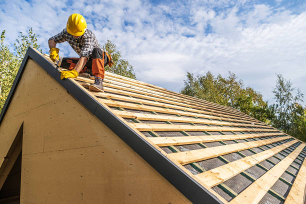 Best Roof Gutter Cleaning  in Lford, MI